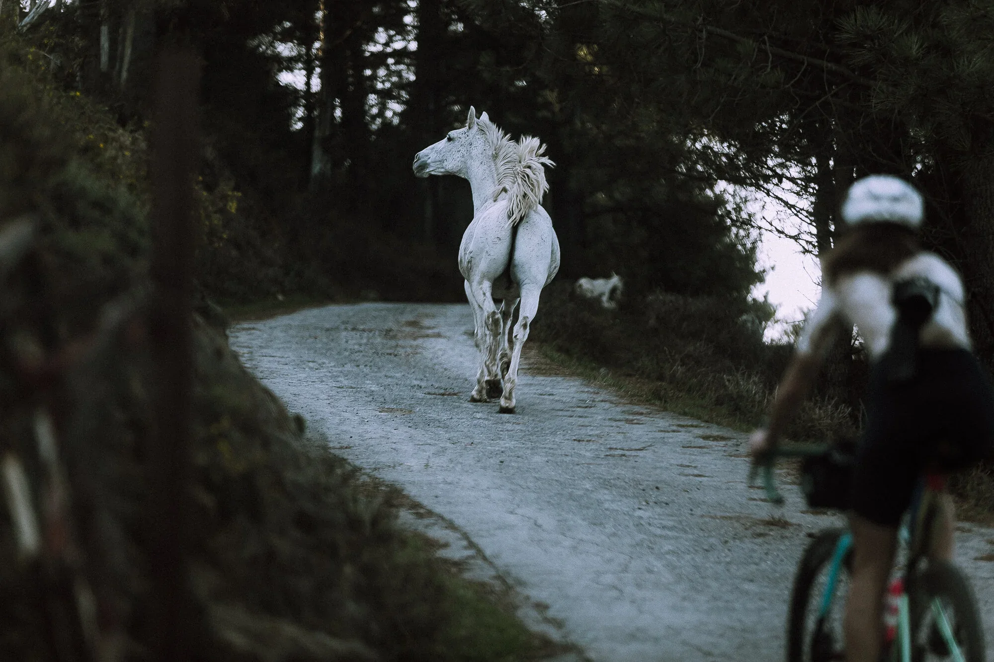 Gravel: more than cycling, a philosophy of life